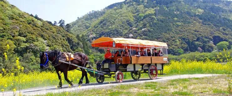 Xem tất cả ảnh tour